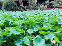 -成都武侯祠博物馆