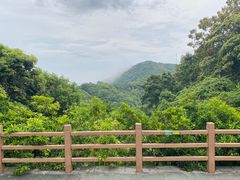 -广州市帽峰山景区