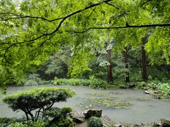 -虎跑公园