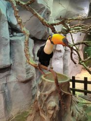 -Zoolung Zoolung动物主题公园(海信广场店)