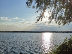 -丁香湖公园