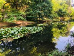 -长白岛森林公园