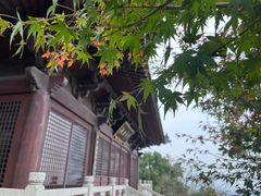 -杭州半山国家森林公园