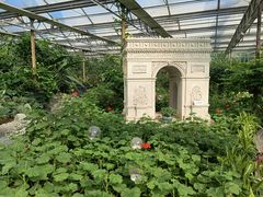 -南宫五洲植物乐园