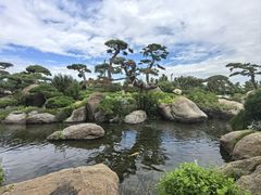 -罗红摄影艺术馆