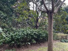 -上海怡沁园度假酒店