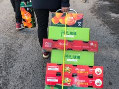 -沈阳市八家子水果批发市场