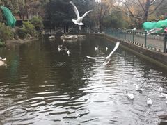-昆明动物园