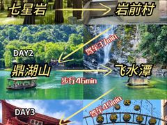 -鼎香皇高佬苏裹蒸粽