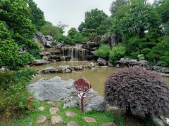 -东莞植物园