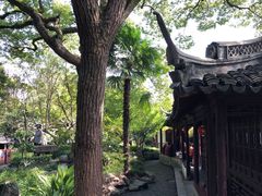 -上海醉白池公园