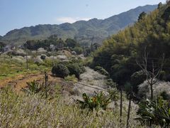 -广州市流溪河国家森林公园
