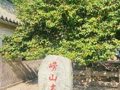 -青岛崂山太清宫