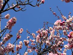 -石塘人家