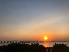 -宝安西湾红树林湿地公园