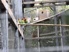 -呀路古热带植物园