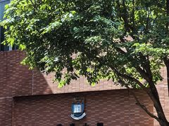 -香港大学