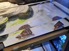 -宠物世家(仲盛世界商城店)