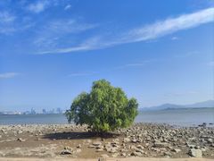 -深圳湾公园(南山区)