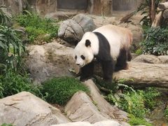-香港海洋公园