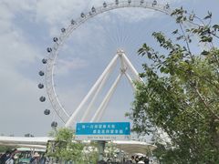 -日照海滨国家森林公园