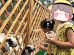 -萌宠亲子动物乐园(槐房万达店)