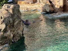 -珠海长隆海洋王国