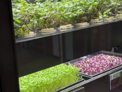 -香港数码港艾美酒店