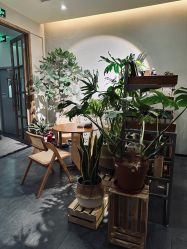 -芳香乐府疗愈空间·SPA·冥想