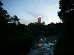 -青山公园萤火虫科普展