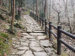 -冶父山国家森林公园