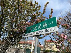 -八大关景区