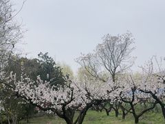 -艾山风景名胜区