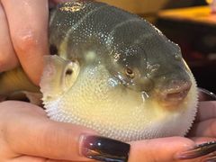 -永安鱼庄·镇江菜(丁卯店)