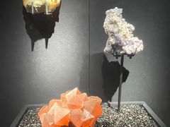 -山东博物馆