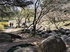 -上海共青森林公园