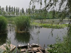 -白洋淀景区