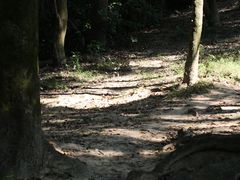 -火炉山森林公园
