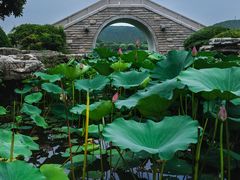 -云龙湖旅游景区