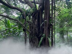 -厦门园林博览苑