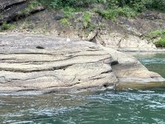 -九曲溪竹筏码头