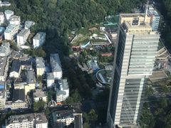 -紫峰大厦