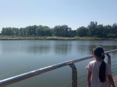 -永定河休闲森林公园