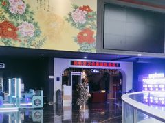 -万达影城(西铁营万达广场IMAX店)