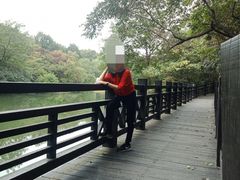 -白马涧龙池景区