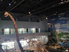 -自贡恐龙博物馆