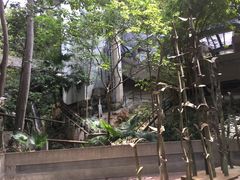 -香港大学
