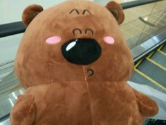 -PAWTOY爪e玩偶店(天兴罗斯福店)