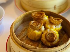 -咖啡苑 - 蔚藍夏日限定主题(永利皇宫店)