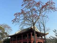 -顺峰山公园